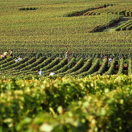 Ibis Budget Parc Des Expositions 2* Reims