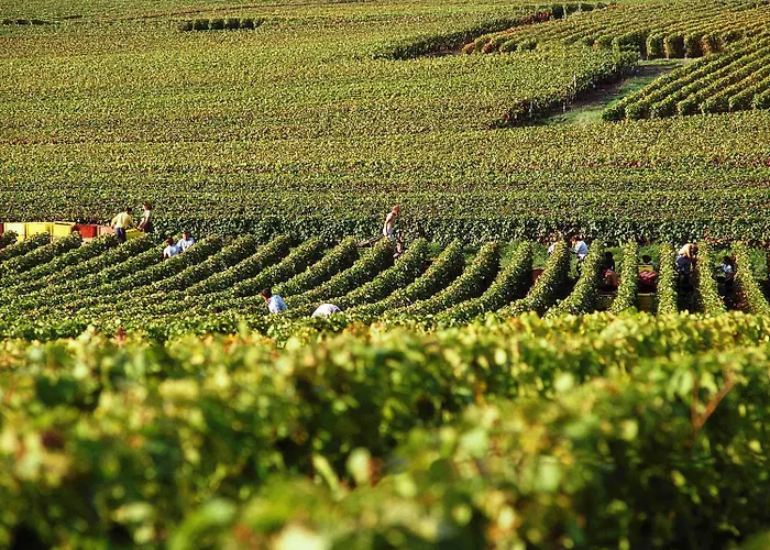 Ibis Budget Parc Des Expositions 2* Reims